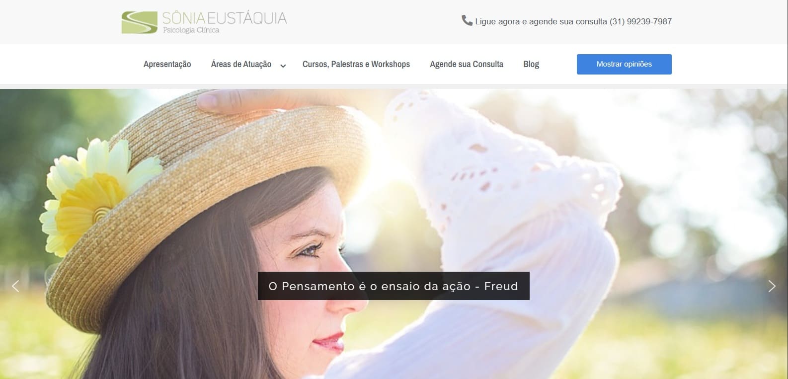 criação de site em bh sonia